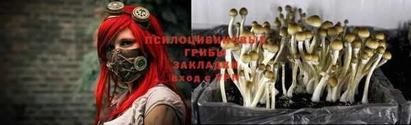 альфа пвп Усинск